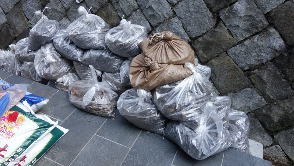 土づくりででた石