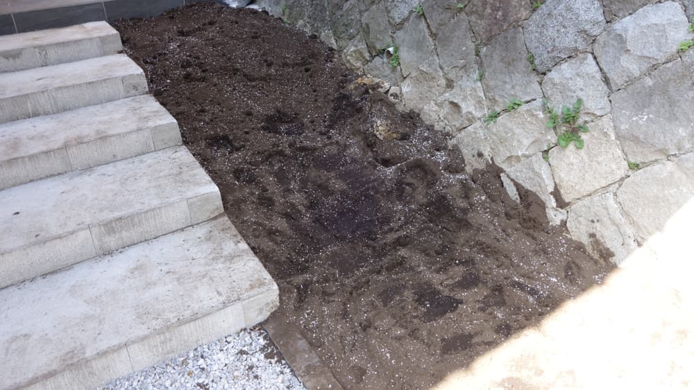 土入れ後の写真