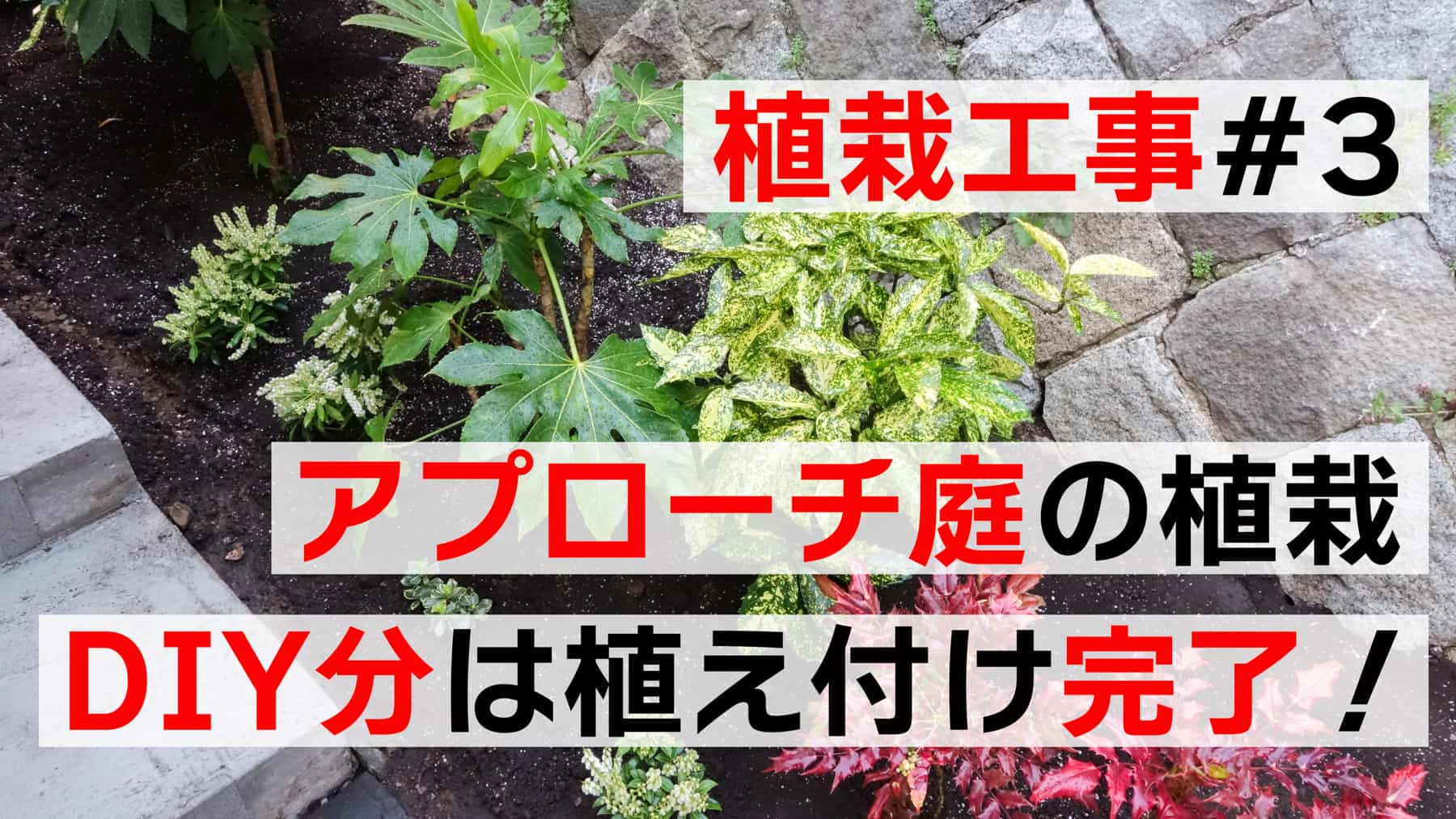 DIY植栽工事＃３　アプローチ庭の植栽、DIY分は植え付け完了！