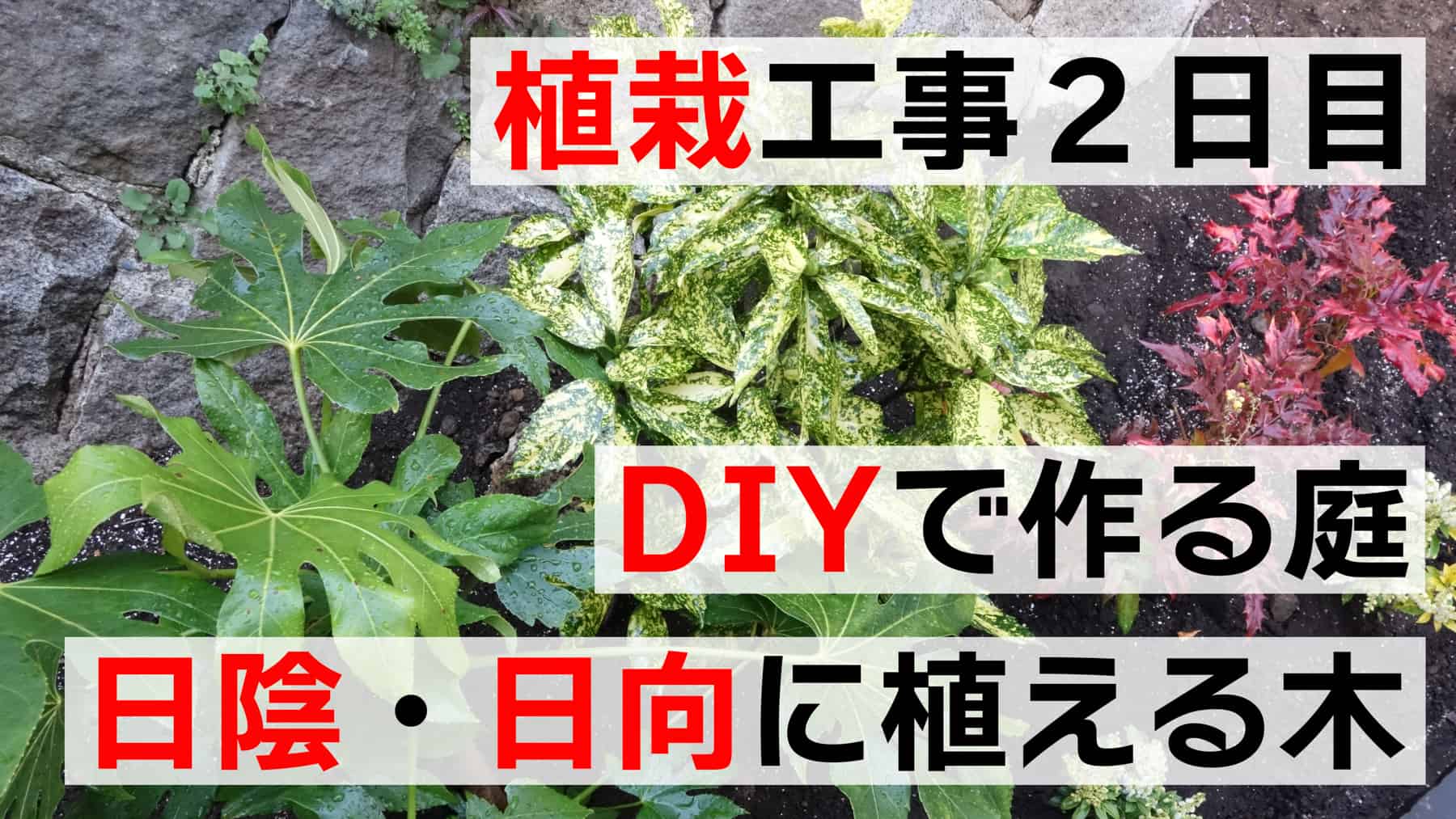 DIY植栽工事＃２　DIYで作るアプローチ庭、日向と日陰に植える植物