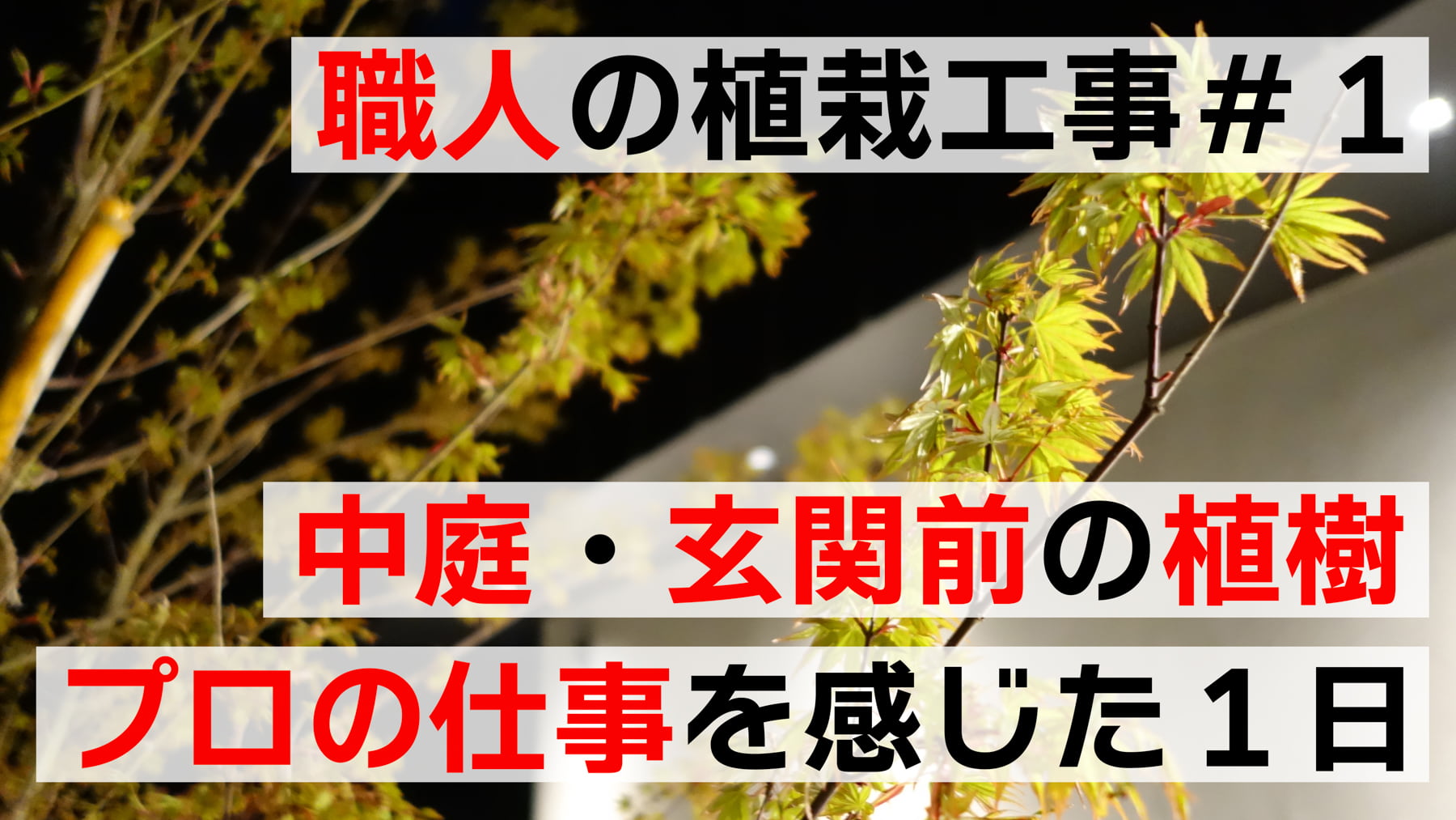 職人の植栽工事＃１　中庭・玄関前の植樹、プロの仕事を間近に感じた１日