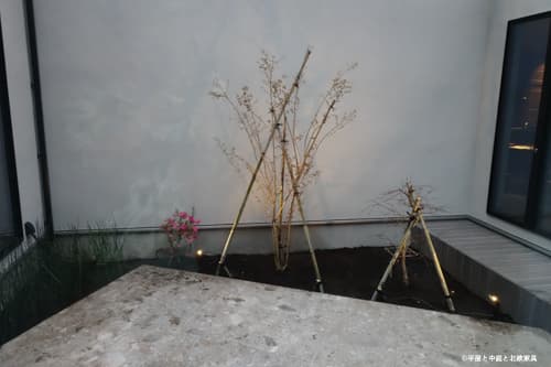 中庭レイアウト