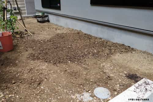 クラピア植え付け