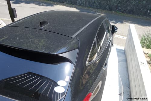 グランドカバーの必要性