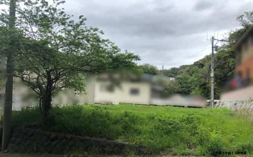 グランドカバーの必要性