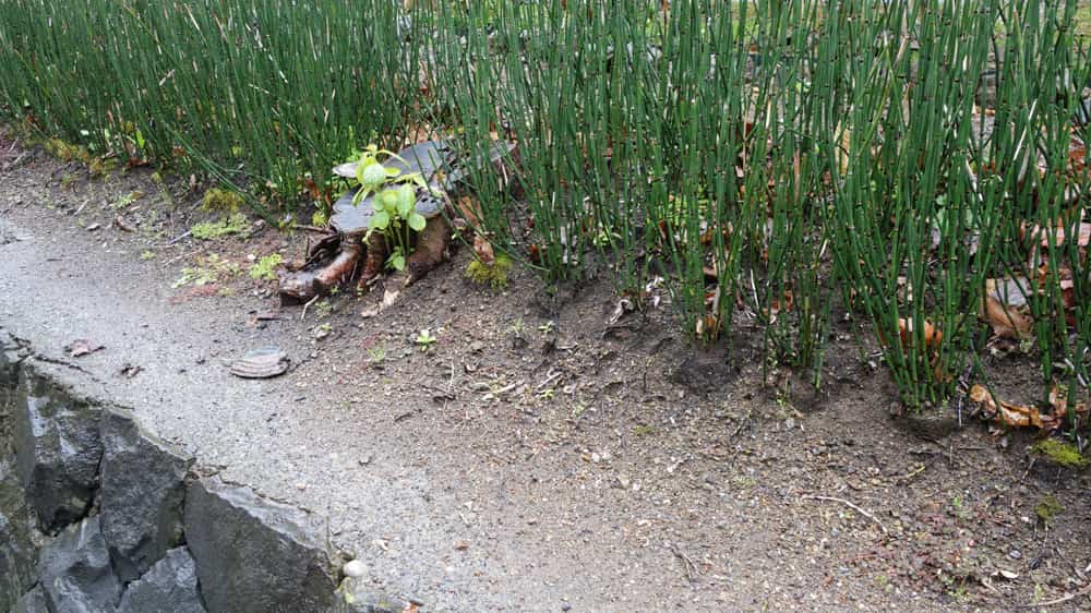 雨で流出したトクサエリアの土