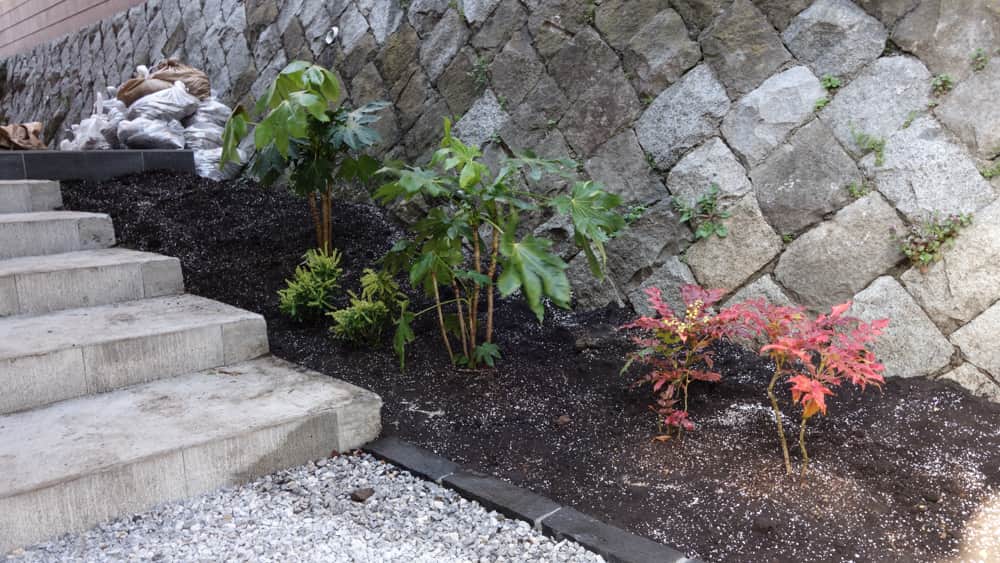 シェードガーデンの写真