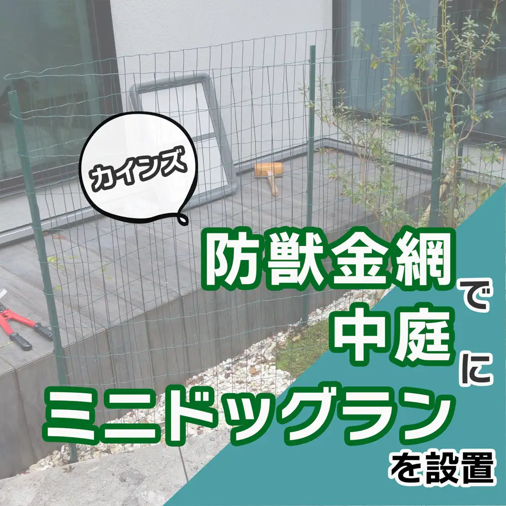【DIY】カインズの防獣金網で中庭にミニドッグランを設置